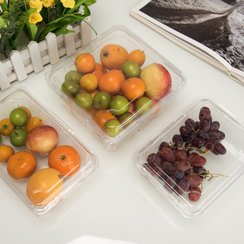 Hohe Transparenz umweltfreundliche Einweg-Kunststoff-Obstbehälter aus Kunststoff
